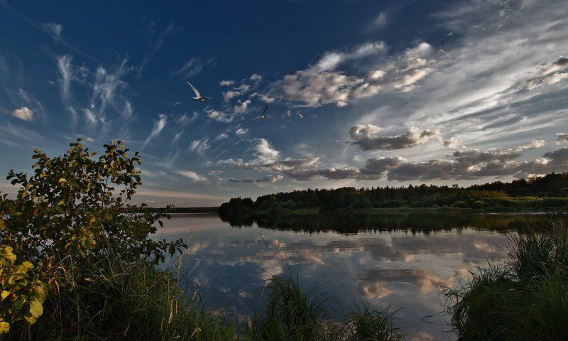 купавна., бисерово. Будет так всегда! фото превью
