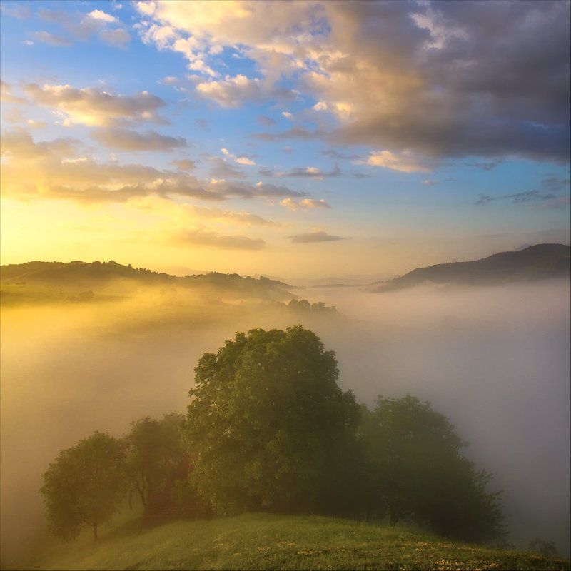 Fog, Hills, Landscape, Nature, Romania, Sunrise  фото превью