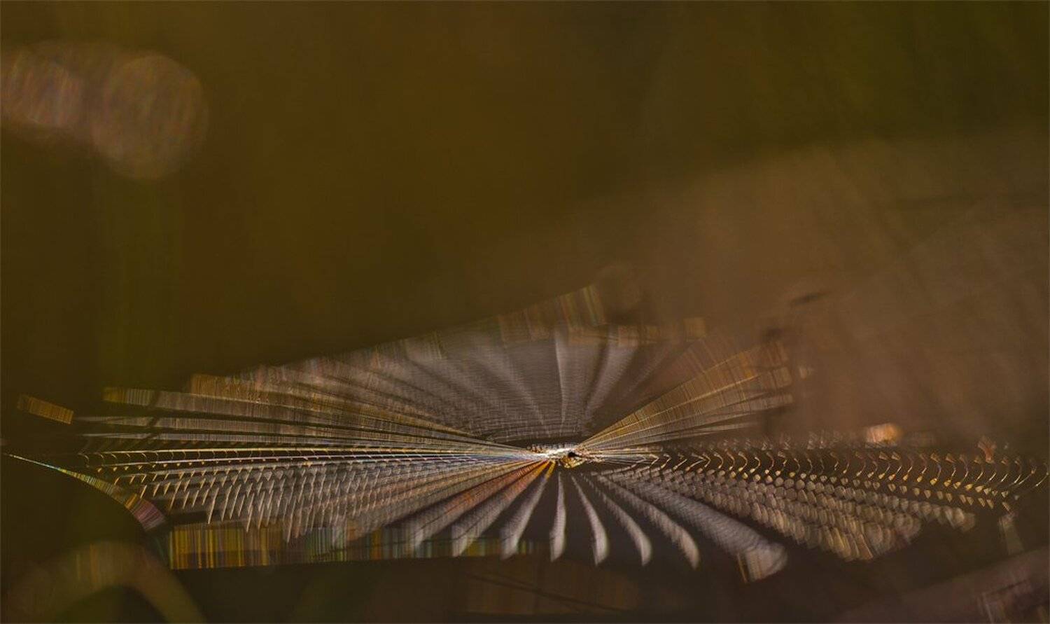 , Геннадий Мещеряков