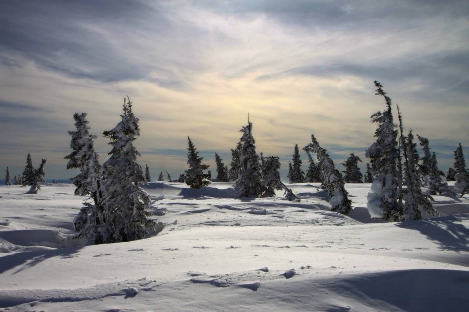 зима, горная, шория, шерегеш, Галина Хвостенко