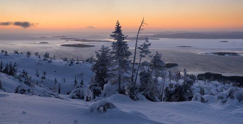 Морозный рассвет