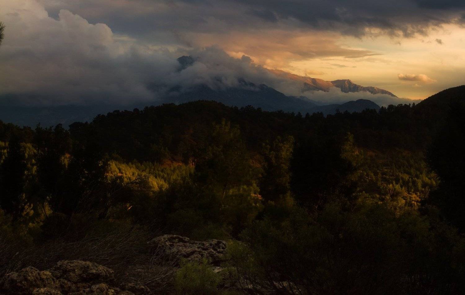 , Гамидов Мурад