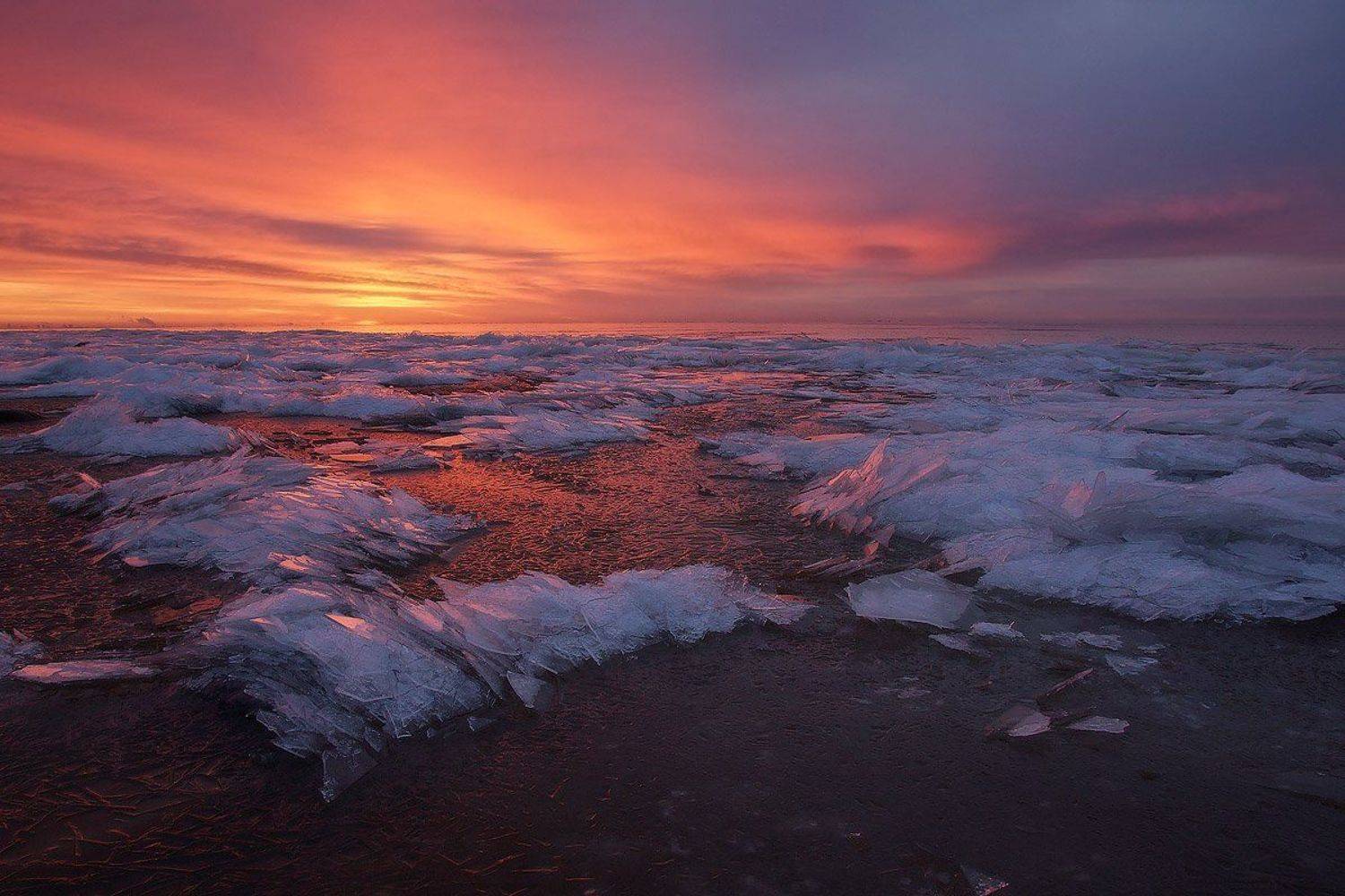 финский залив, ленинградская область, Евгений Ляпунов