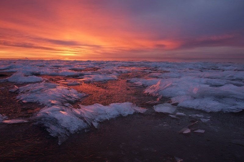 финский залив, ленинградская область \