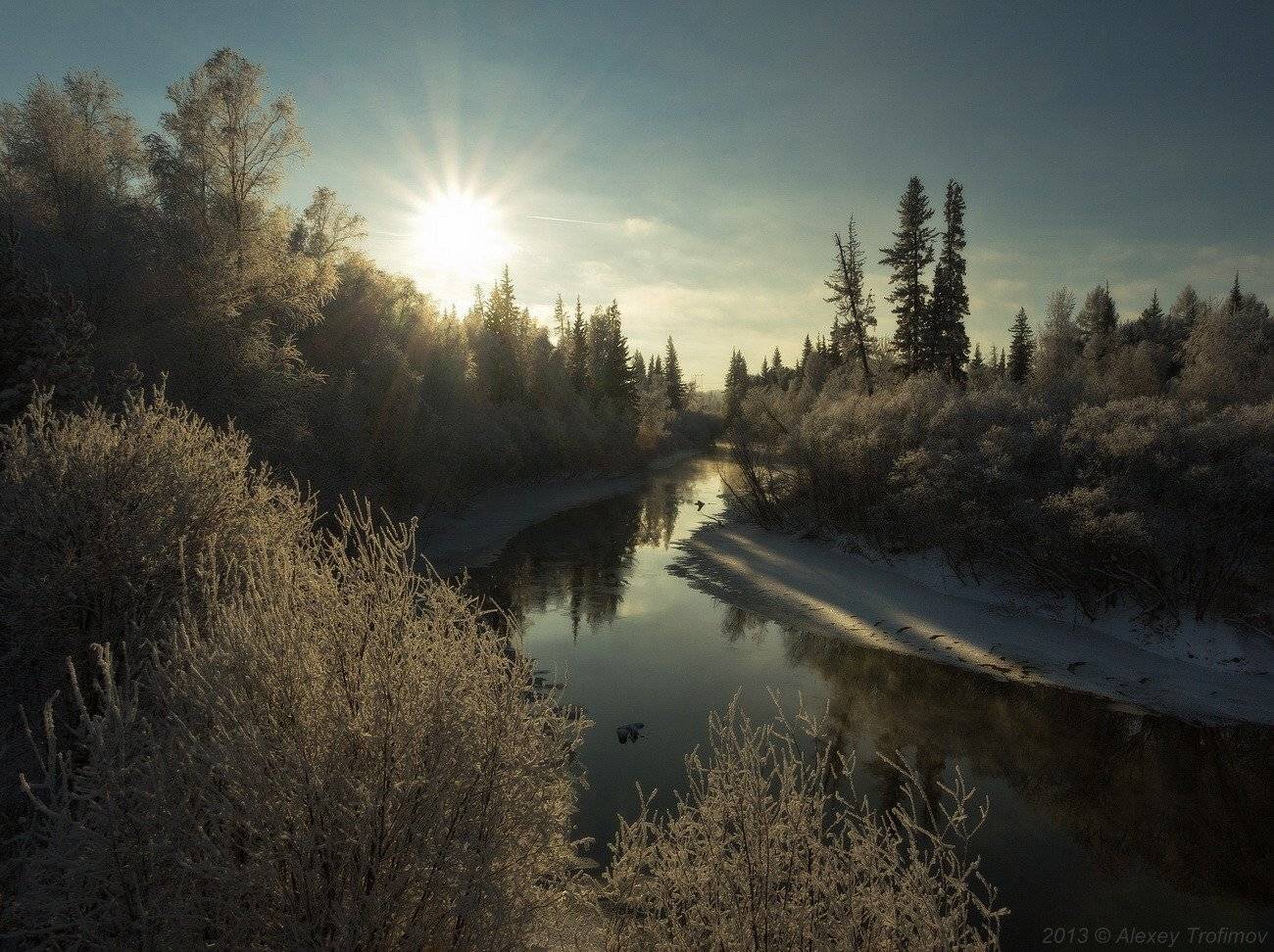 , Алексей Трофимов