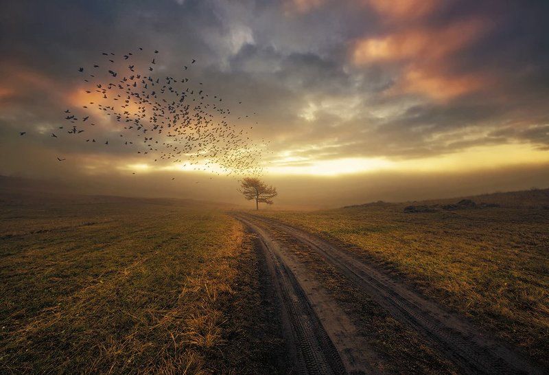 В дальний путь... фото превью