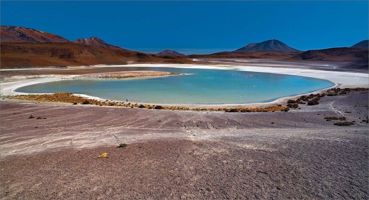 , Алексеевич