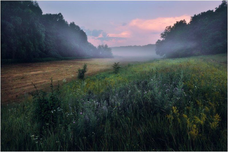 осень, пейзаж, природа Любимая пора фото превью