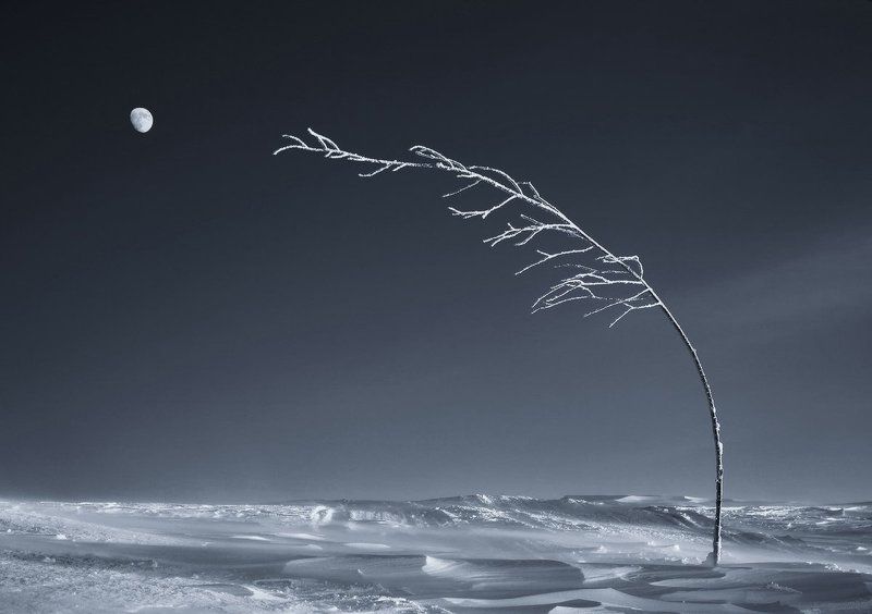 Стремление фото превью