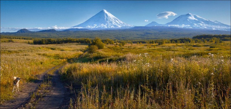 Вулканом запахло (Камчатка). фото превью