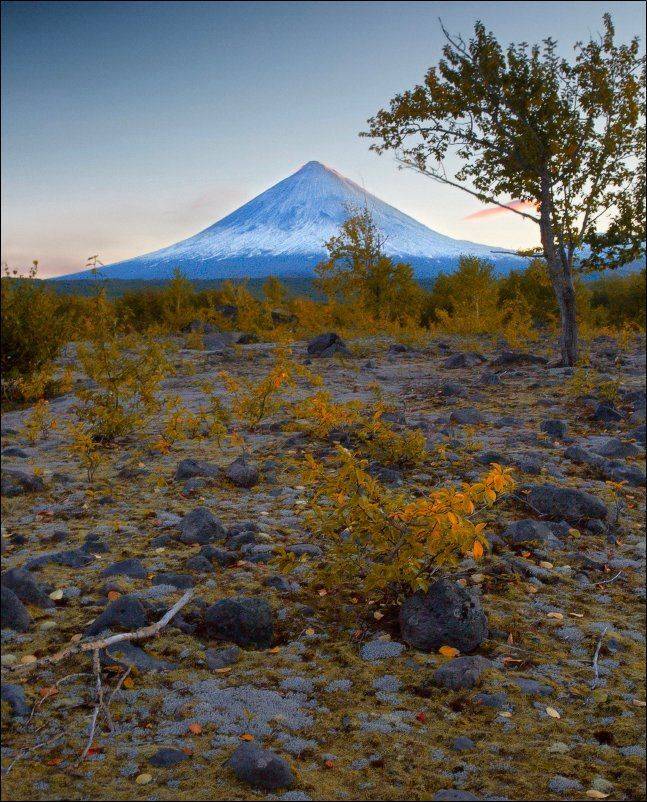 , Вадим Никифоров