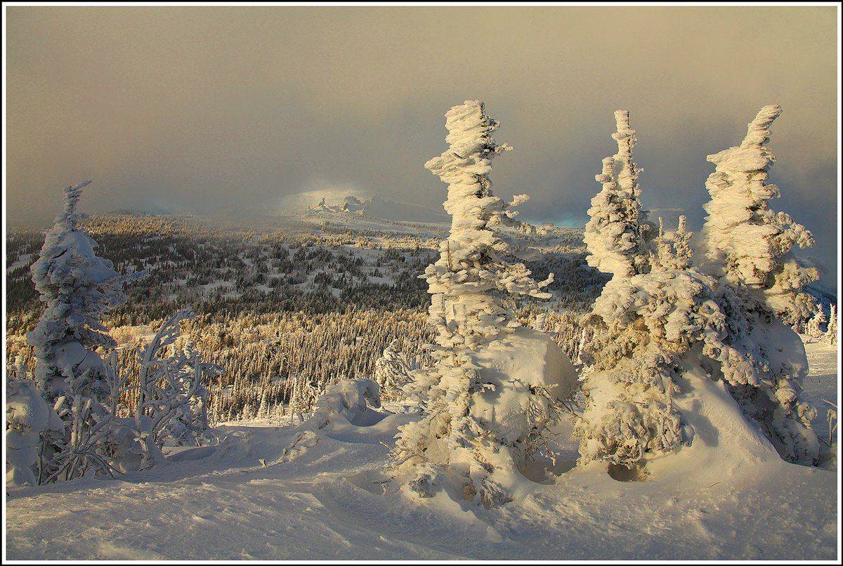 , Лихарев Александр