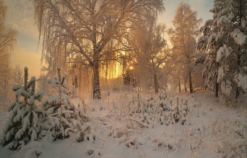 Кого испугалась гуанака? фото превью