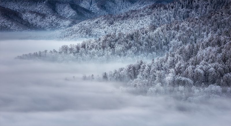 Fog, Landscape, Mountain  фото превью