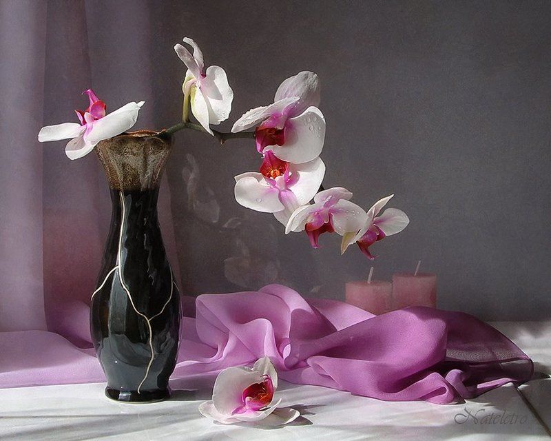 Бабочки... фото превью