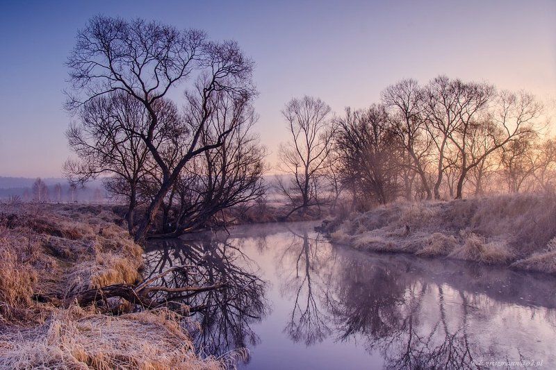 colors of the morning фото превью