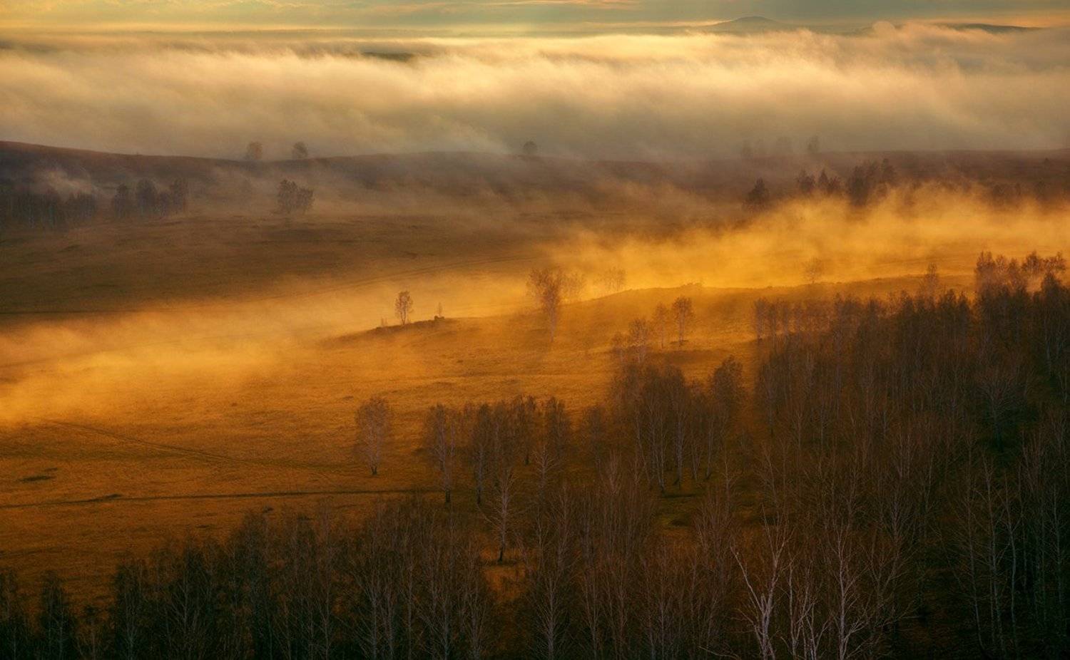 , Александр Сысуев