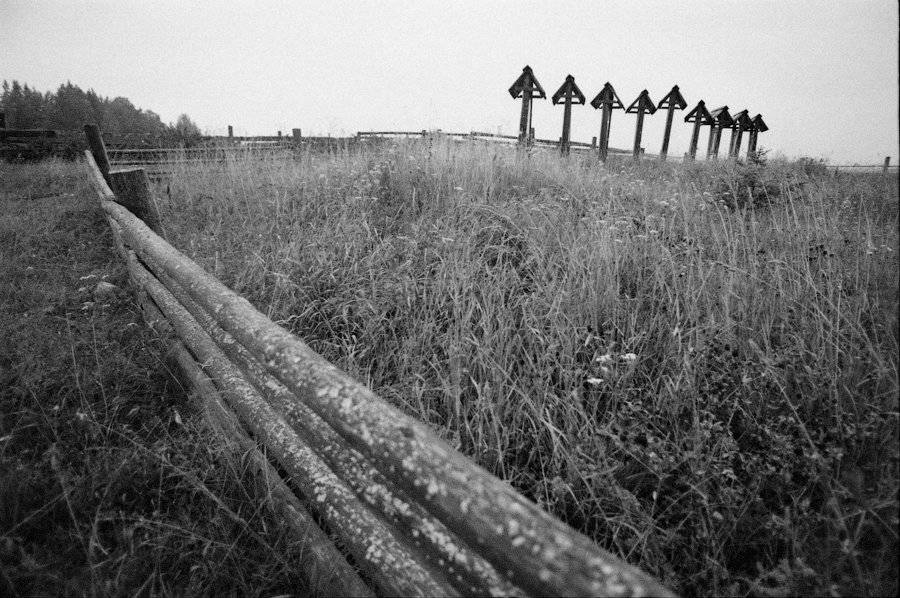 , Александр Савельев