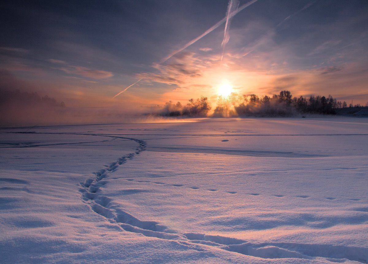 , Николай Морский