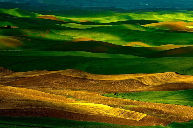 Wave фото превью