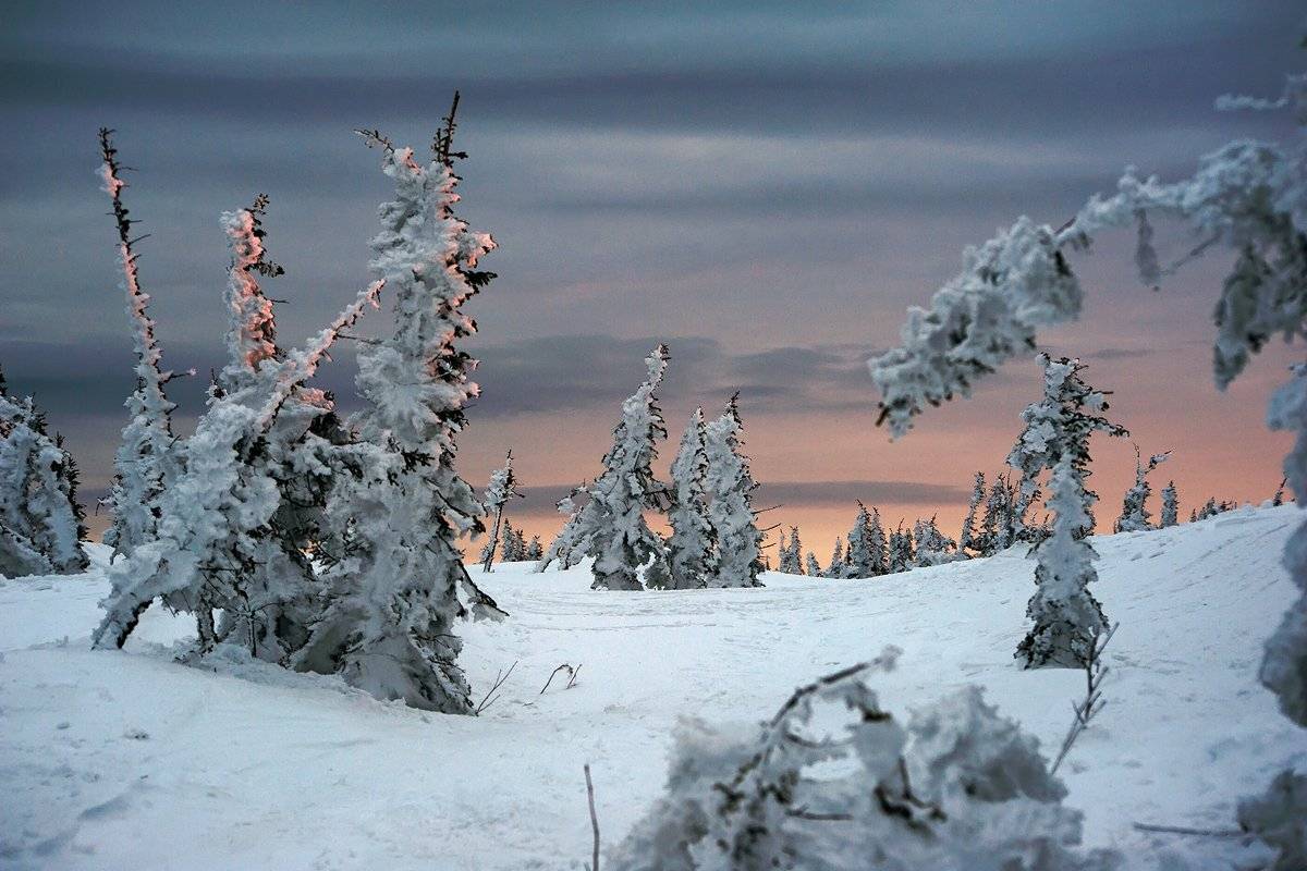 рассвет, гора зелёная, шерегеш, горная шория, пихты, Валерий Пешков