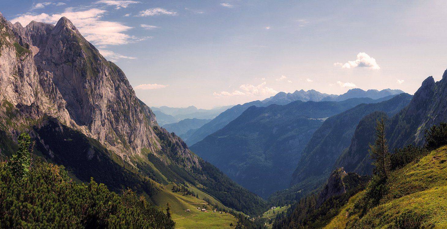 , Игорь Мелекесцев