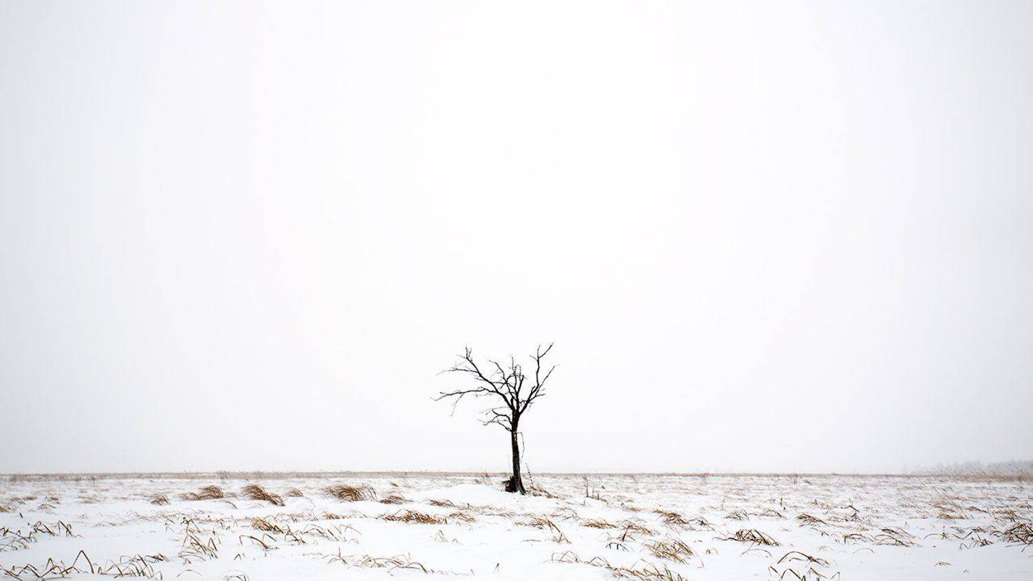 , Шаленкин Роман