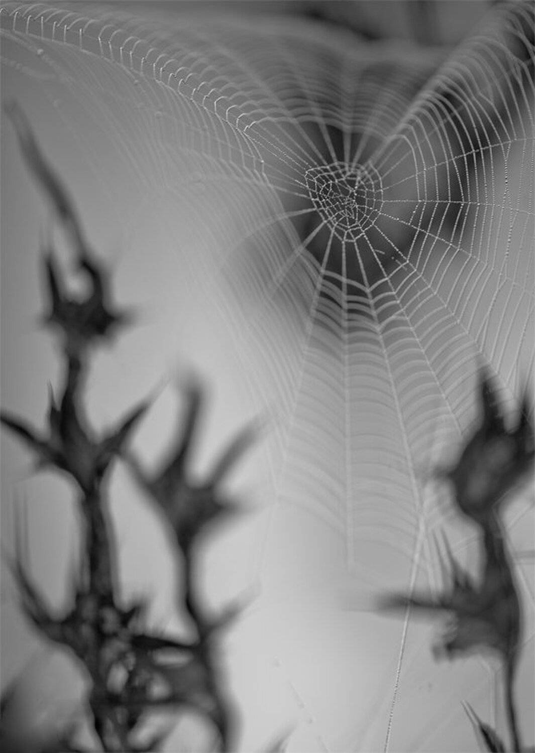 , Геннадий Мещеряков