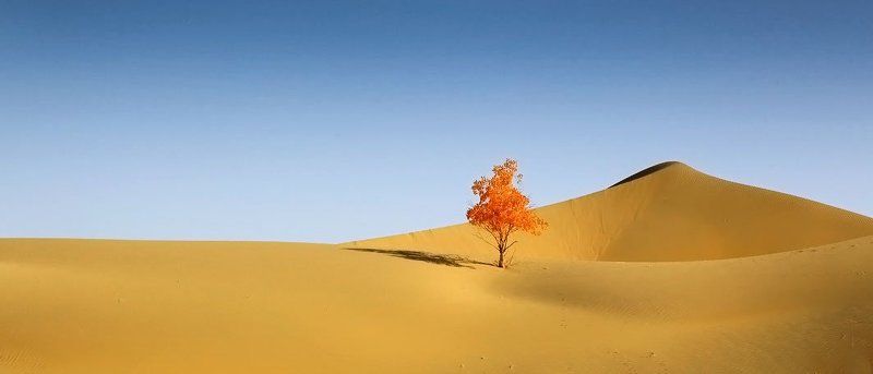 Dune фото превью