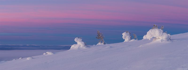 Kola Peninsula, Morning, Pink, Sunrise, White sea, Winter, Белое море, Волосяная, Заполярье, Зима, Кандалакша, Кандалакшский залив, Кольский, Рассвет Хрупкая нежность зимнего утра. фото превью