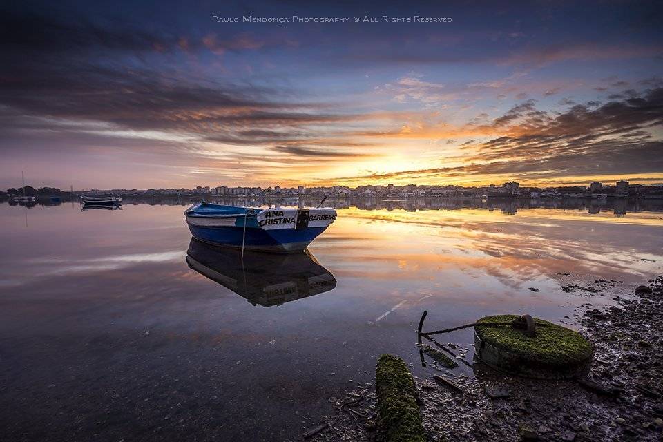 , Paulo Mendon&ccedil;a