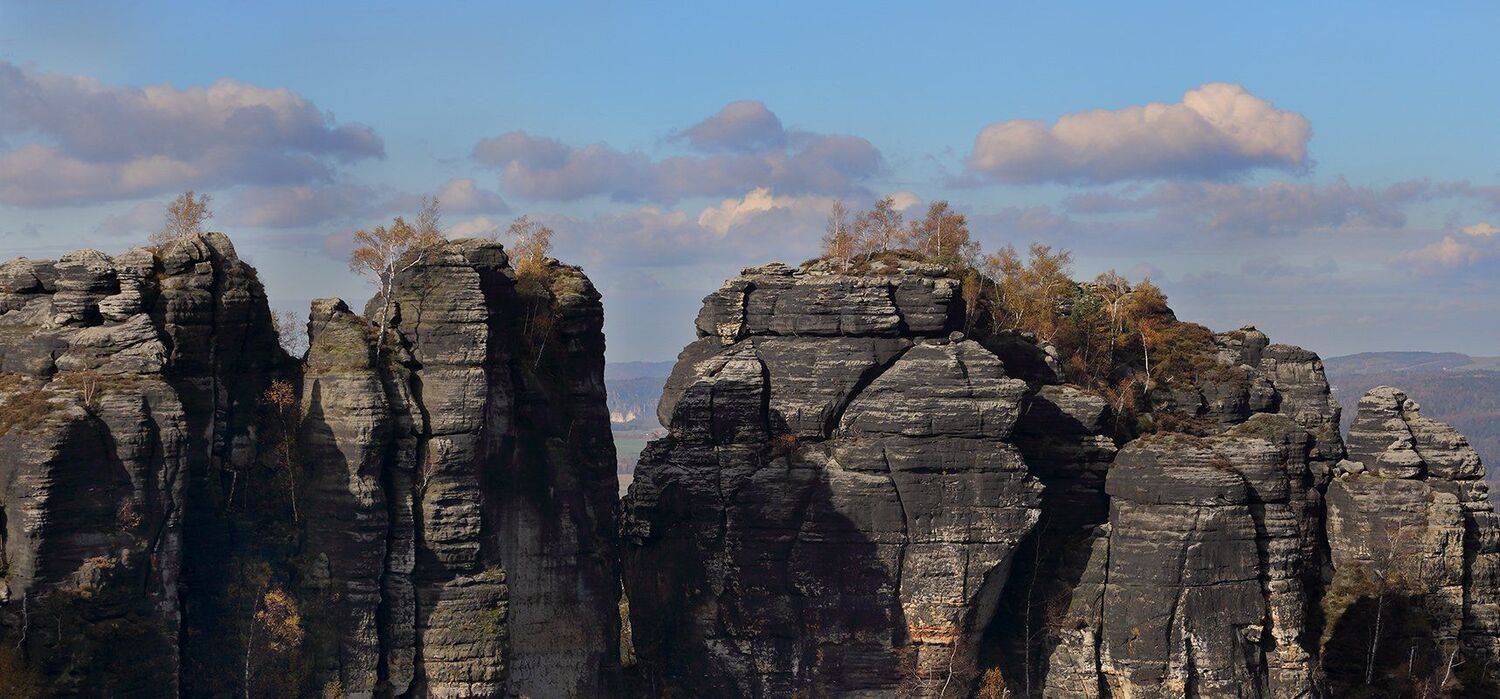 , Игорь Дубровский