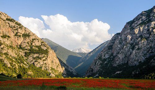 Лето, ах, лето