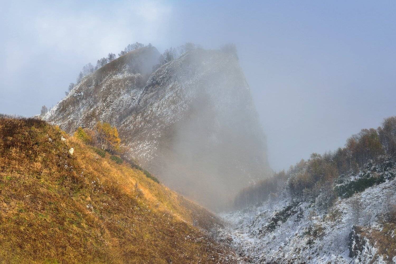 , Максим Евдокимов