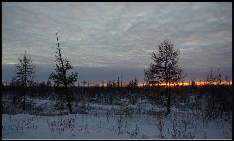 Зимний вечер фото превью