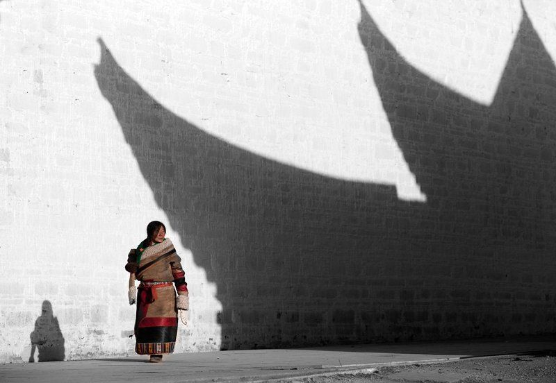 我心向佛 фото превью