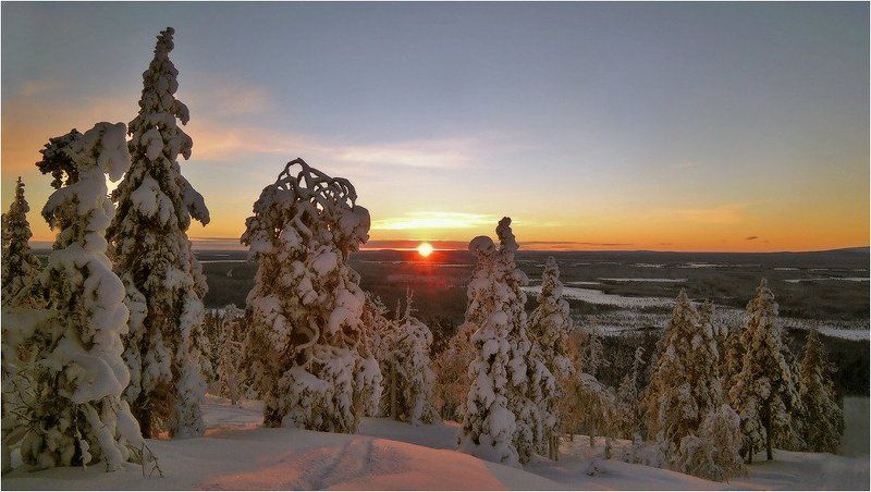 Немного зимнего леса фото превью