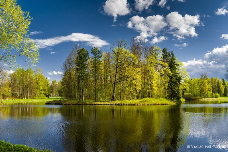В Павловском парке .... О . фото превью