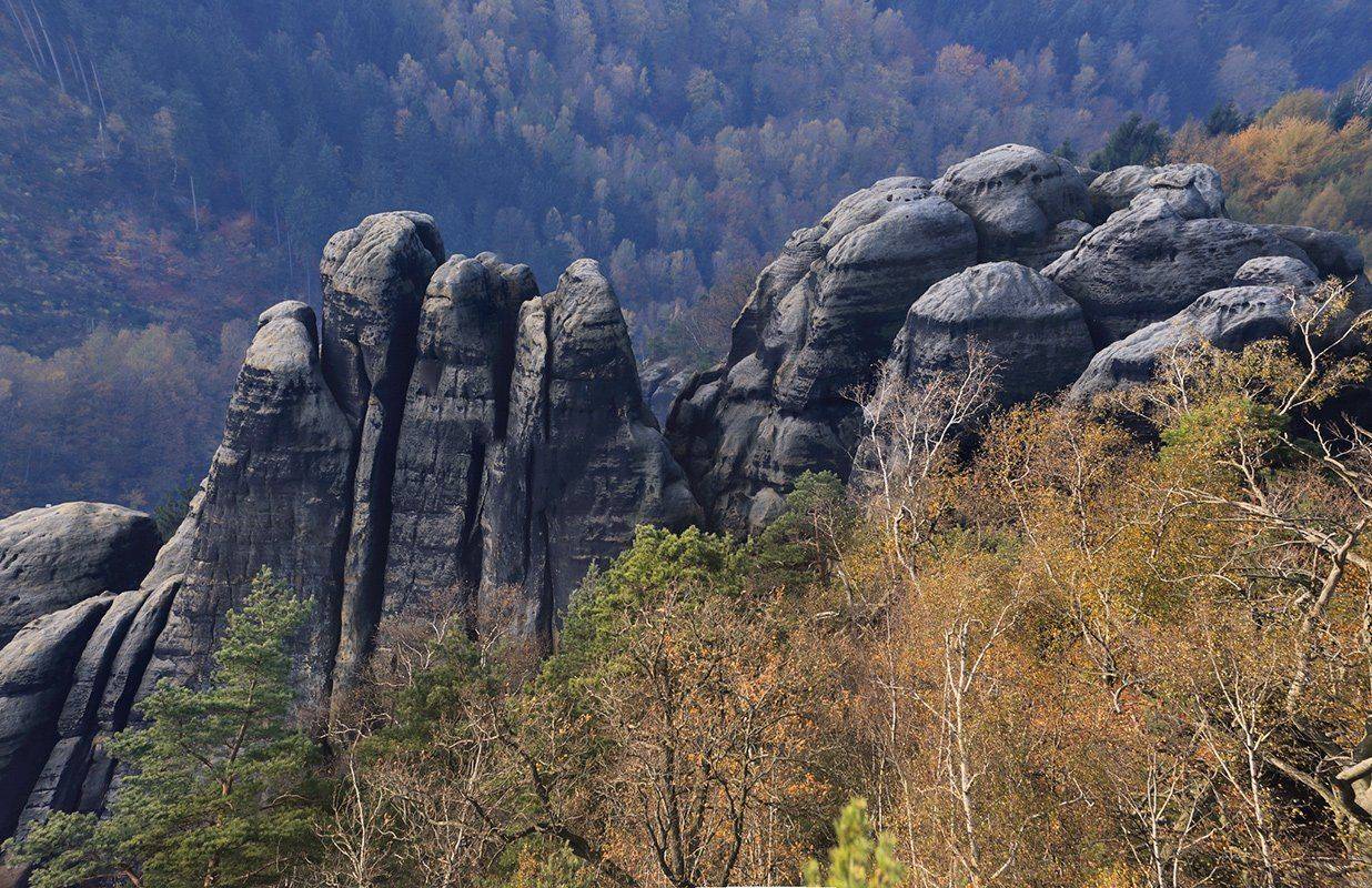 , Игорь Дубровский