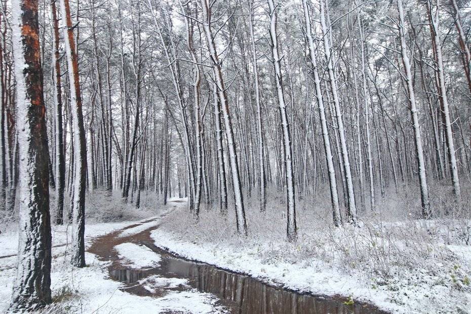 , Валерий Кондратов