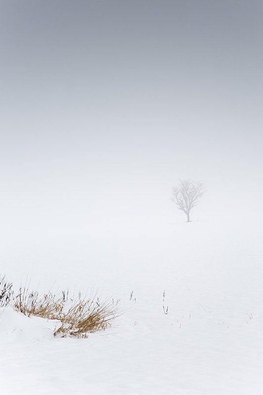 Loneliness фото превью