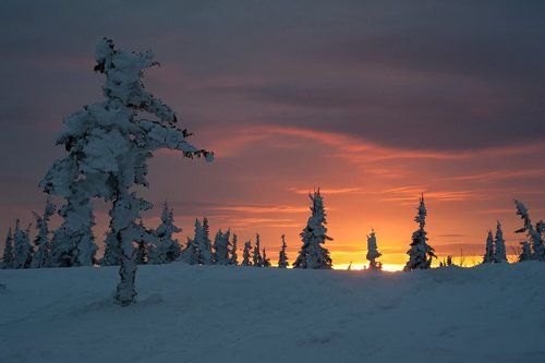 Навстречу рассвету!