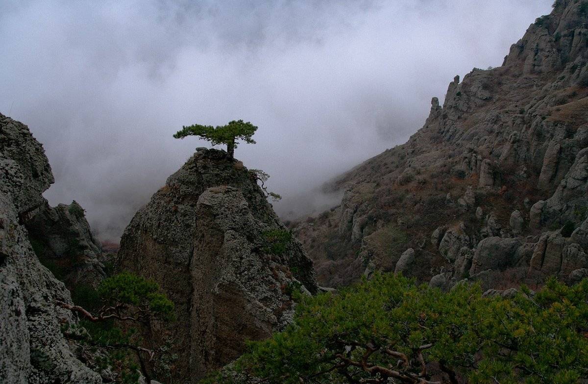 , Виталий Ра