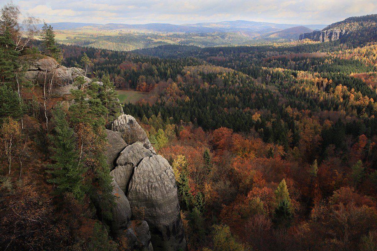 , Игорь Дубровский