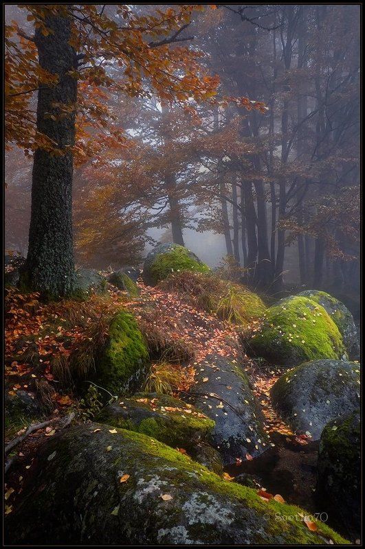 bulgaria  фото превью