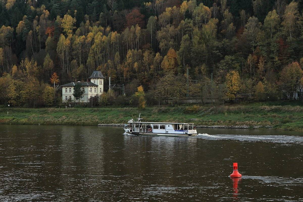 , Игорь Дубровский