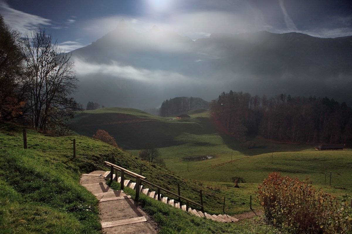 , Матвеев Николай