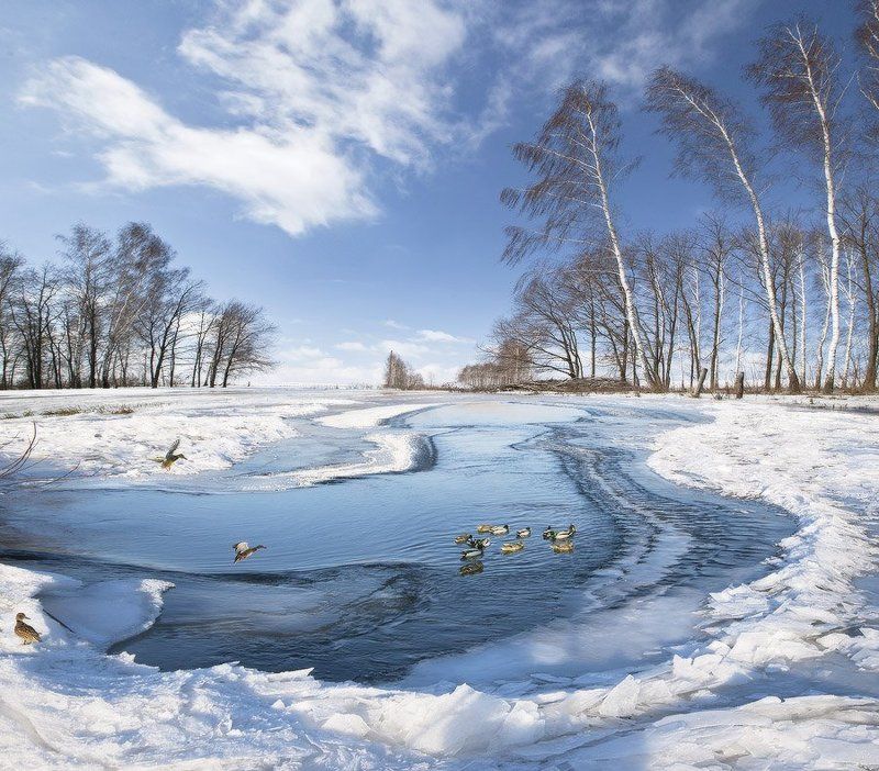 Погожий денек фото превью