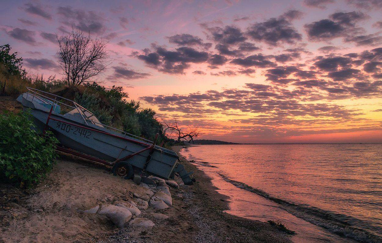 , Игорь Мелекесцев