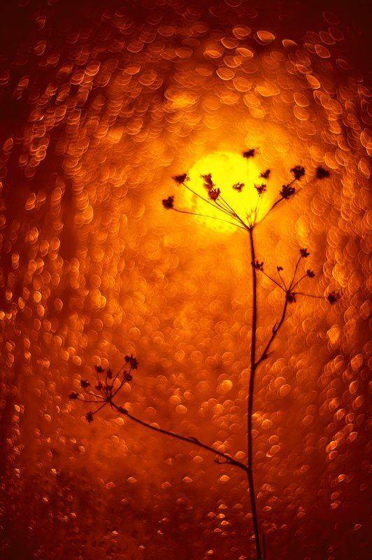 , Татьяна Аверина